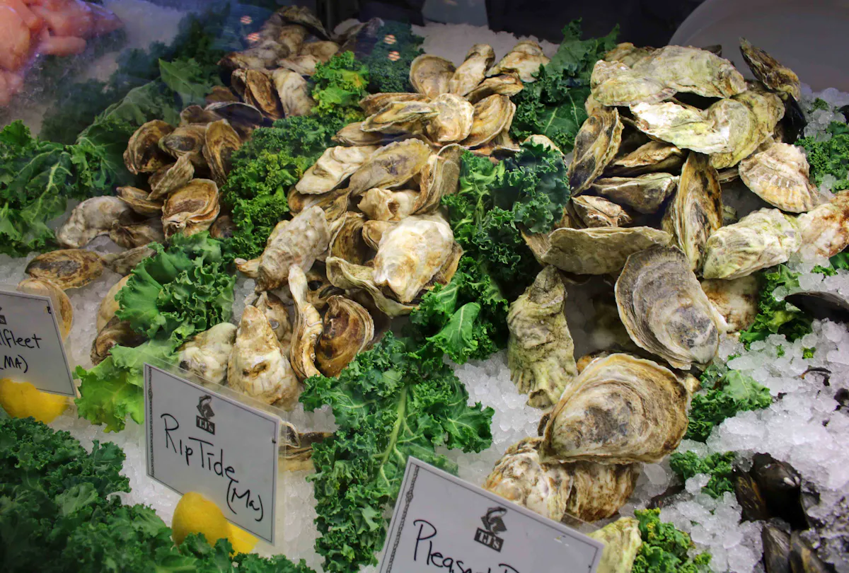 a close up of many different vegetables on display